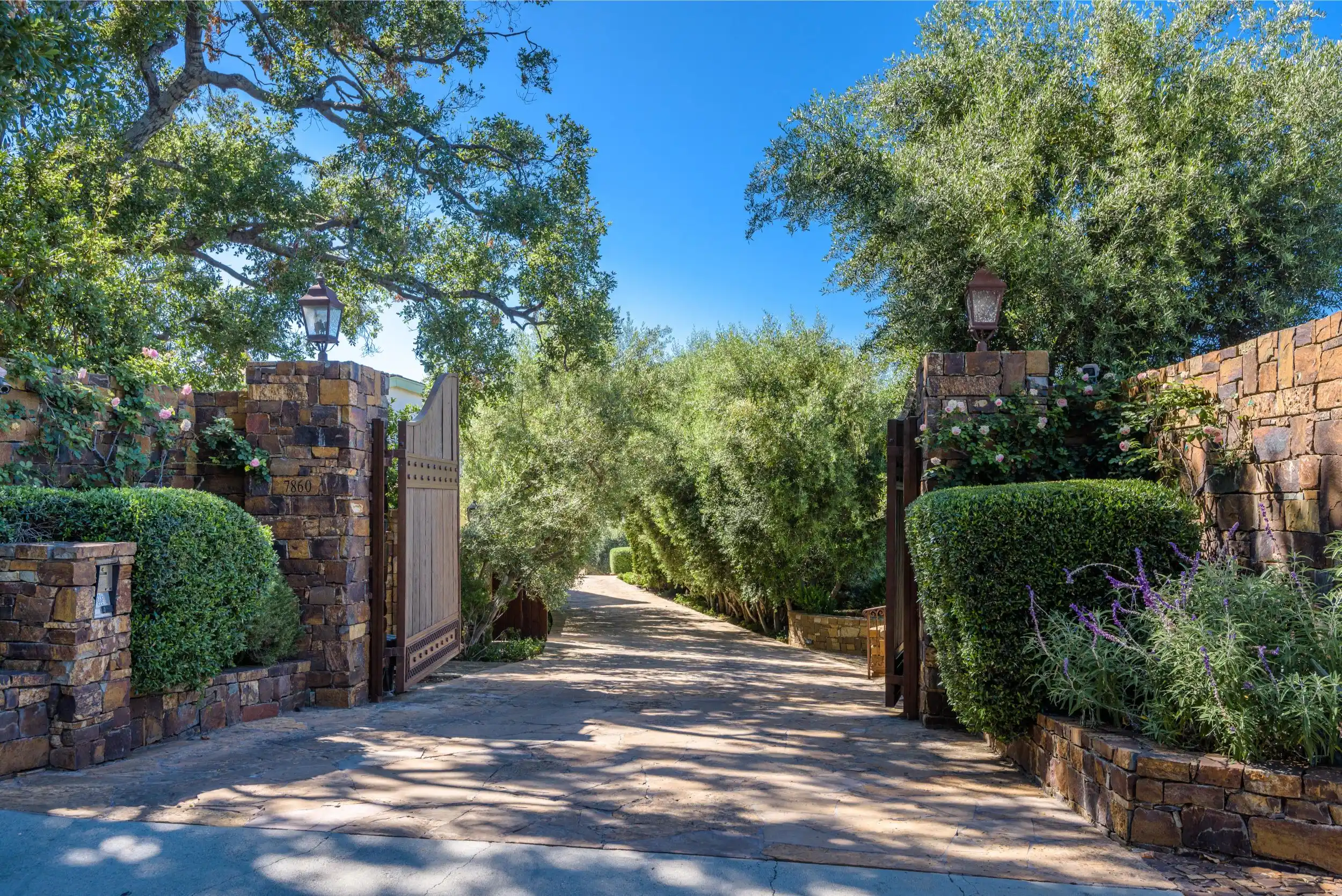 Torreyson driveway between stone walls and mature trees