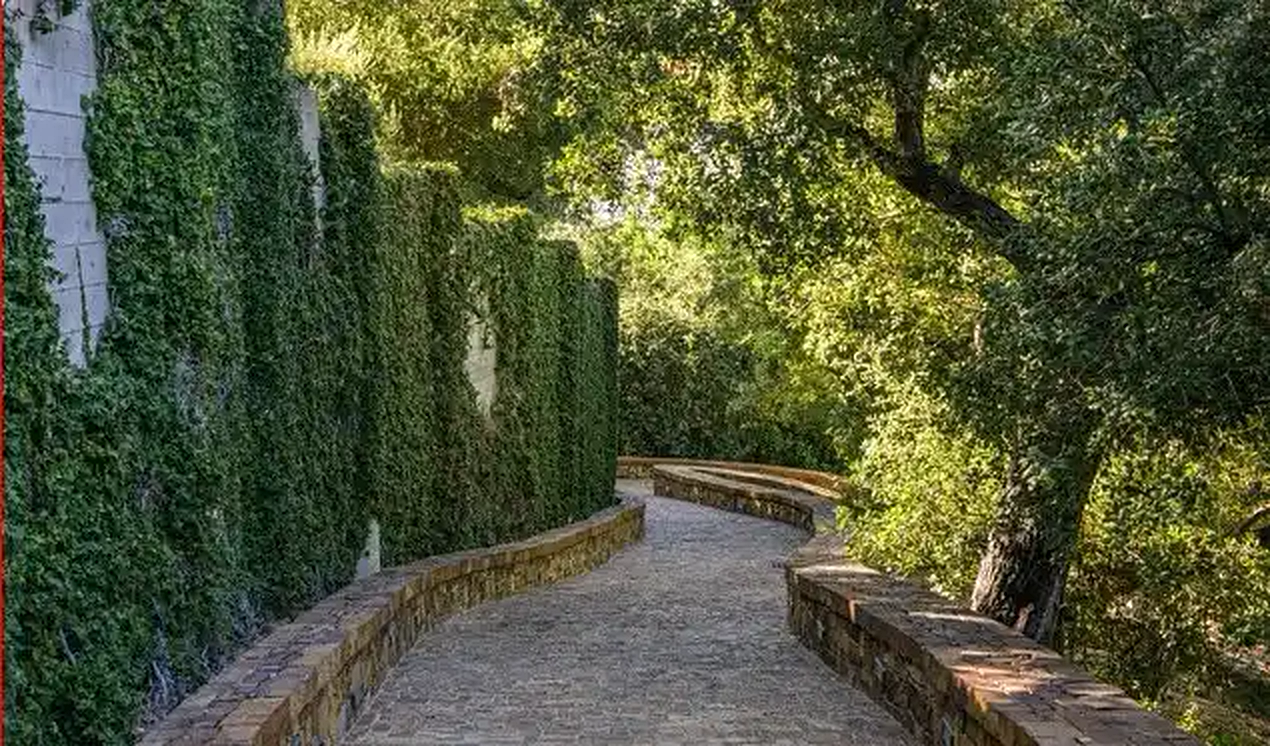 Torreyson shaded garden path